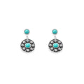 Starlight Canyon Earrings